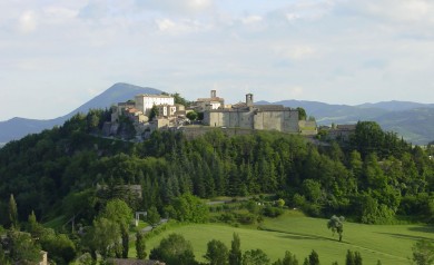 Montone